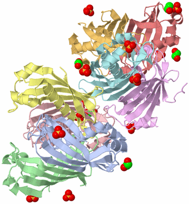 Image Biological Unit 3