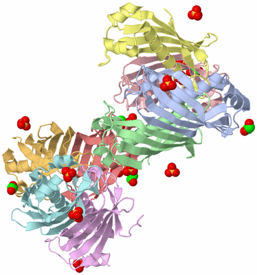 Image Biological Unit 4