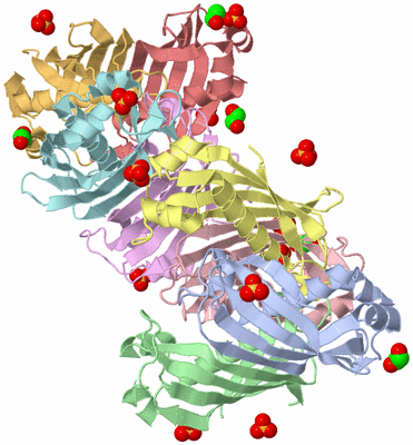 Image Biological Unit 5