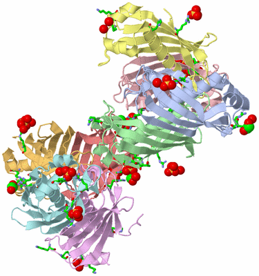 Image Asym. Unit - sites