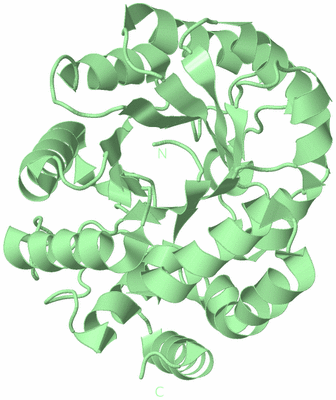 Image Biological Unit 4