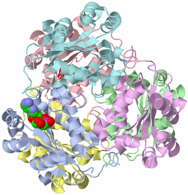 Image Asym./Biol. Unit