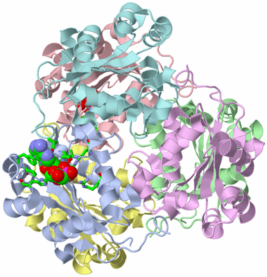 Image Asym./Biol. Unit - sites