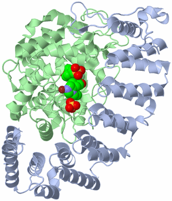 Image Biological Unit 1