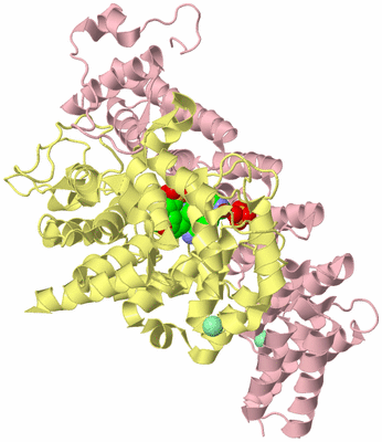Image Biological Unit 2
