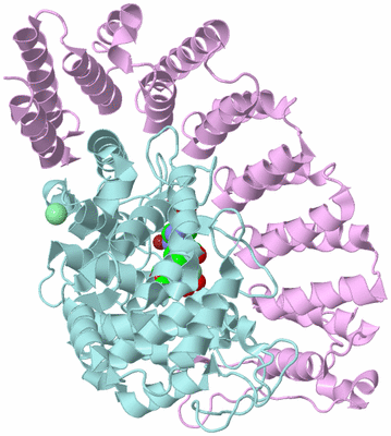 Image Biological Unit 3