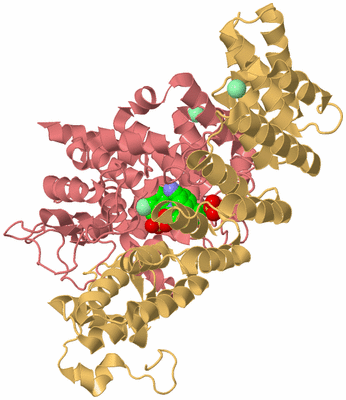 Image Biological Unit 4