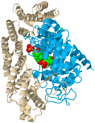 Image Biological Unit 5