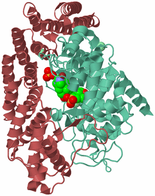 Image Biological Unit 6