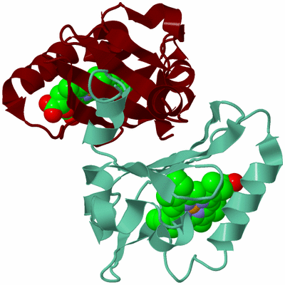 Image Asym./Biol. Unit