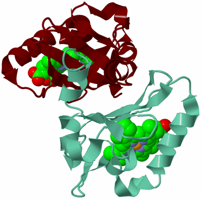 Image Asym./Biol. Unit