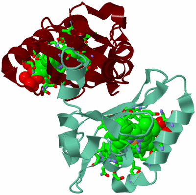 Image Asym./Biol. Unit - sites