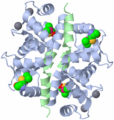 Image Biological Unit 1