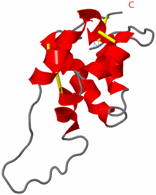 Image NMR Structure - model 1