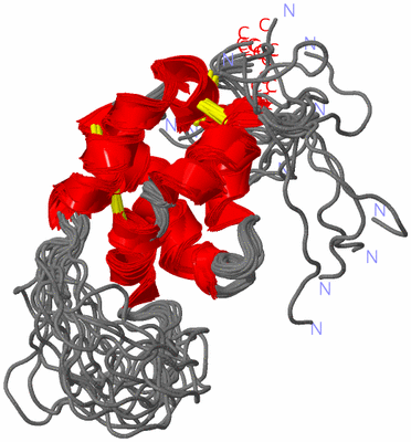 Image NMR Structure - all models