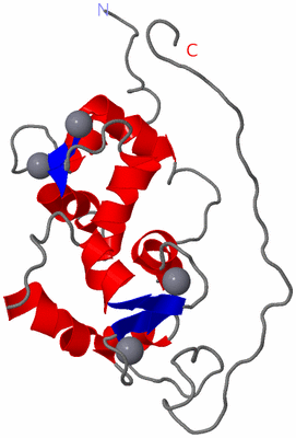 Image NMR Structure - model 1