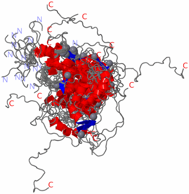 Image NMR Structure - all models