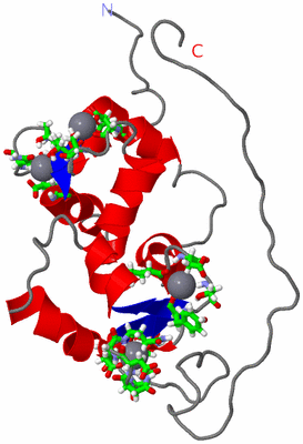 Image NMR Structure - model 1, sites