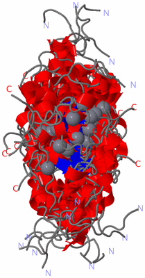 Image NMR Structure - all models