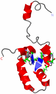 Image NMR Structure - model 1, sites