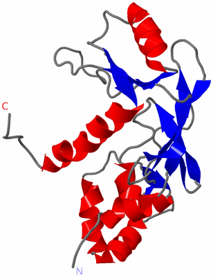 Image NMR Structure - model 1