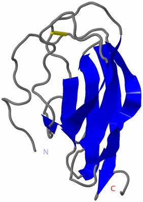 Image NMR Structure - model 1