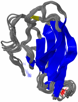 Image NMR Structure - all models