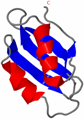 Image NMR Structure - model 1