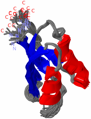 Image NMR Structure - all models