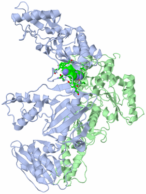 Image Asym./Biol. Unit - sites