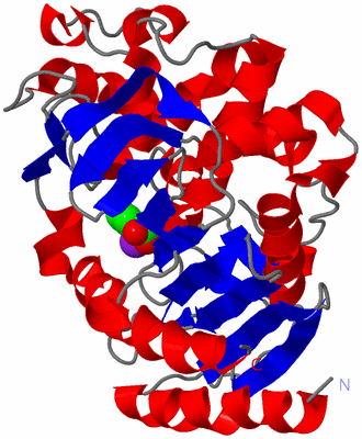 Image Asym./Biol. Unit