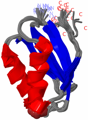 Image NMR Structure - all models