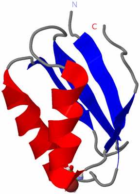 Image NMR Structure - model 1, sites