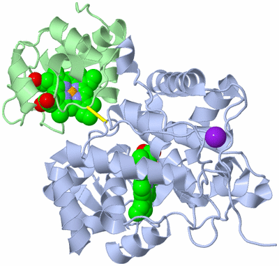 Image Biological Unit 1