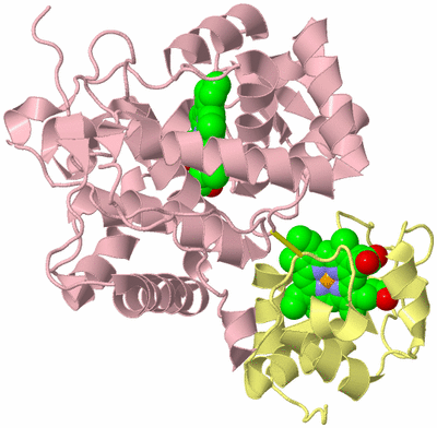 Image Biological Unit 2