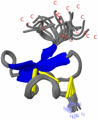 Image NMR Structure - all models