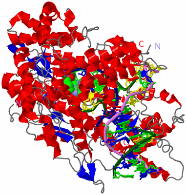 Image Asym./Biol. Unit