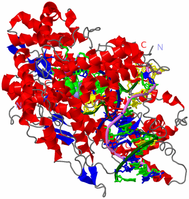 Image Asym./Biol. Unit - sites