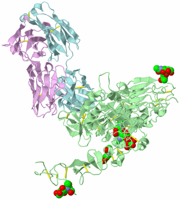 Image Biological Unit 2