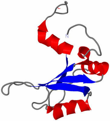 Image NMR Structure - model 1