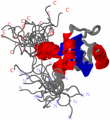 Image NMR Structure - all models