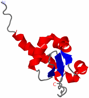 Image NMR Structure - model 1