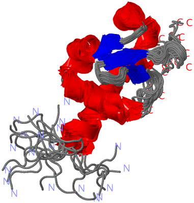 Image NMR Structure - all models