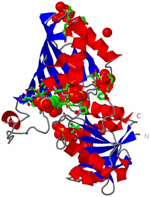 Image Asym. Unit - sites