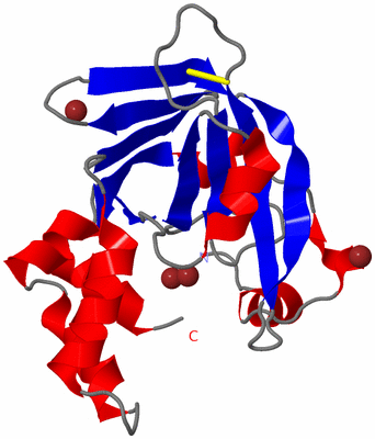 Image Asymmetric Unit