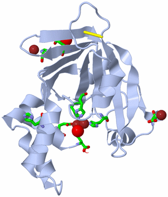 Image Biol. Unit 1 - sites