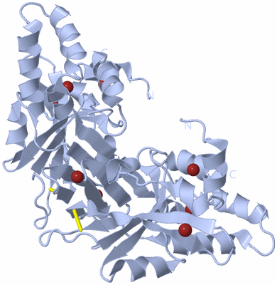 Image Biological Unit 2