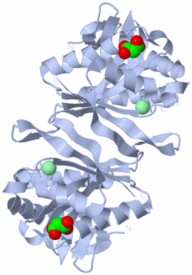 Image Biological Unit 1