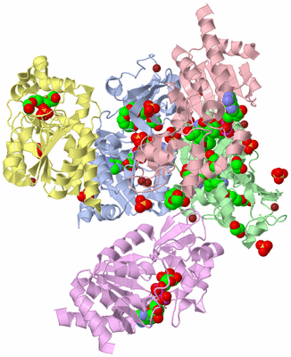 Image Asym./Biol. Unit