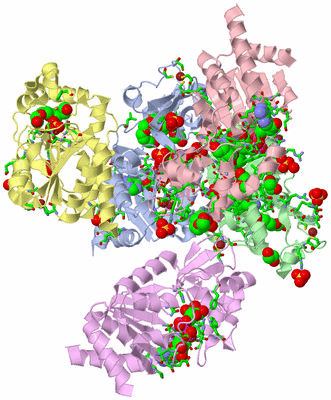 Image Asym./Biol. Unit - sites